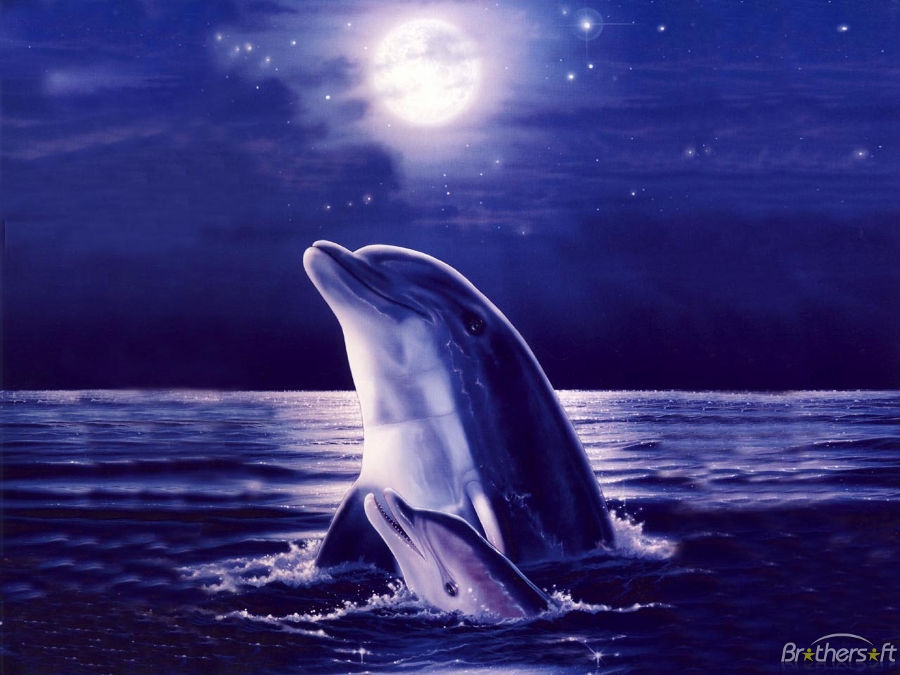 By Dolly Mirando: Dolphin Wallpapers